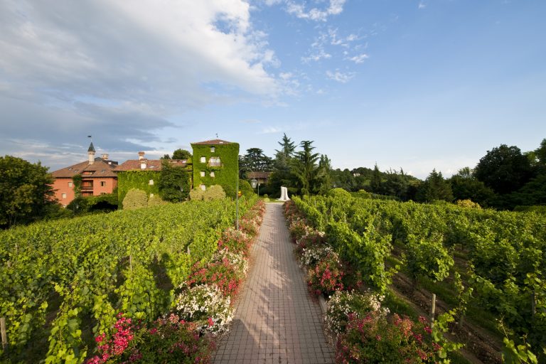 The vineyards and  L'Abereta Relais & Chateaux in Erbusco