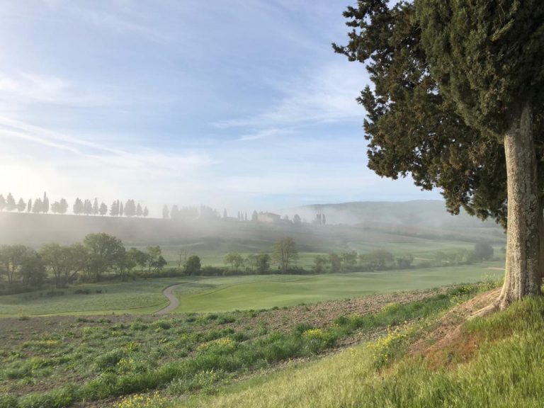 IC Bellagio - Tuscan mornings