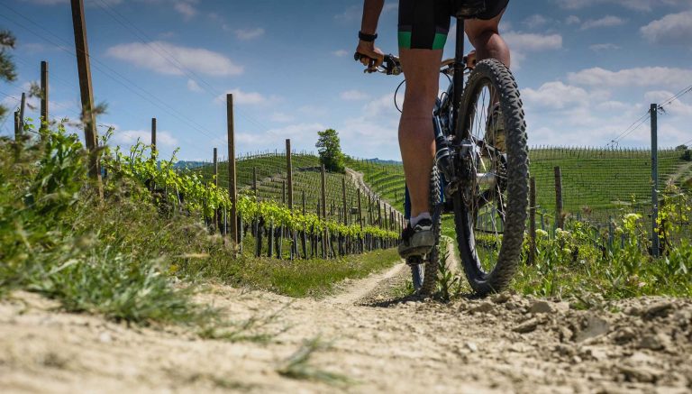 Bespoqe Travel - Biking-in-the-vineyard