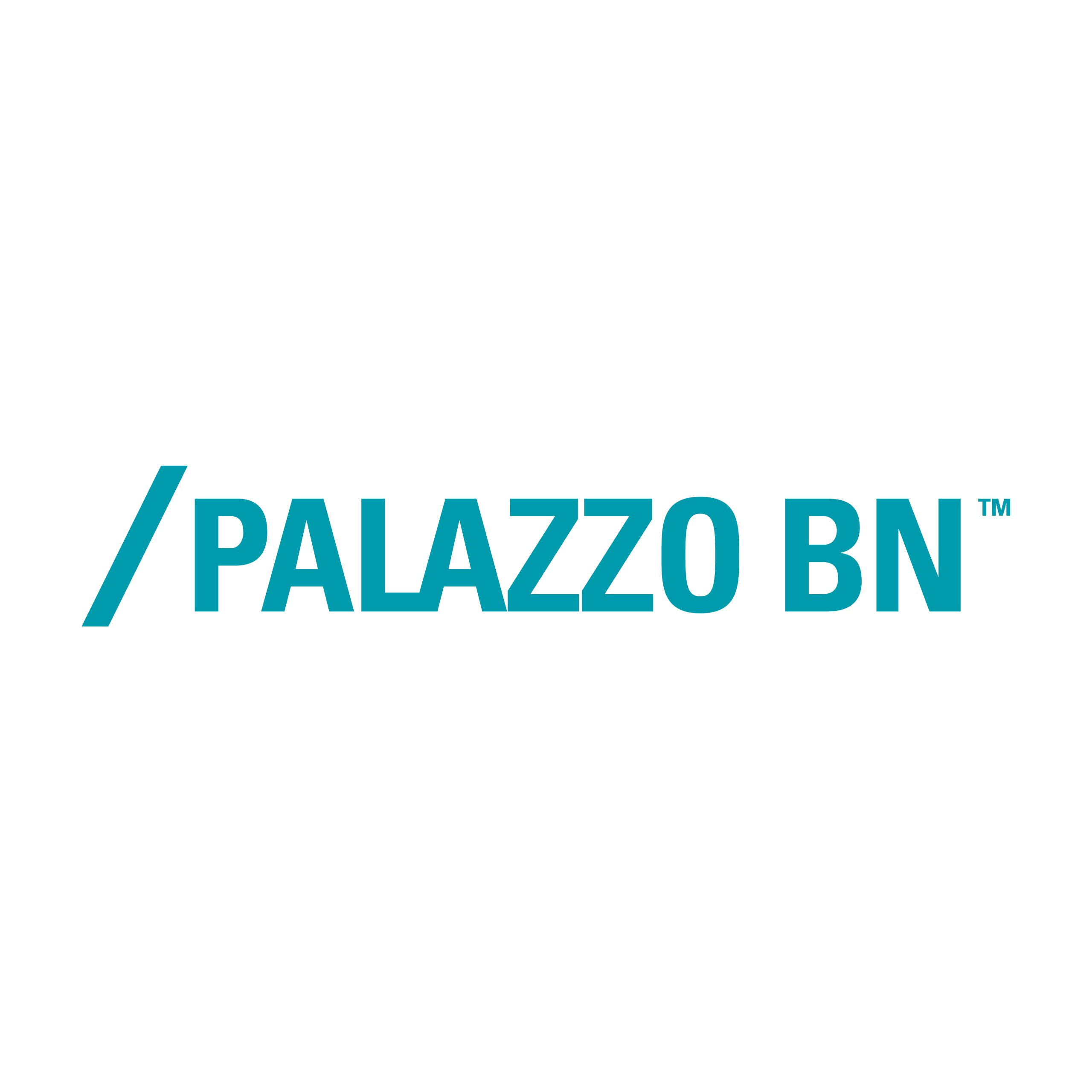 Logo_PALAZZO_BN_ottanio