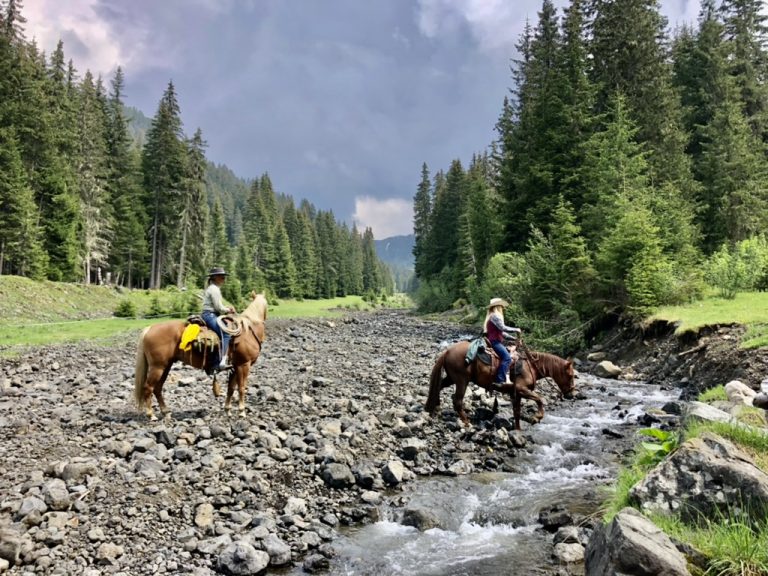 Horse riding & outdoors experiences