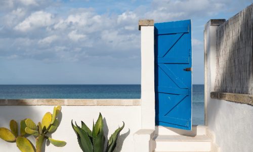 13_Canne Bianche - Porta-Blu